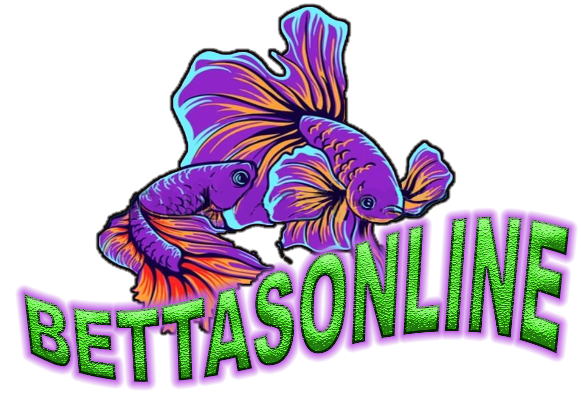 Peces Bettas Online